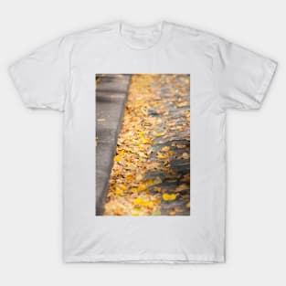 Autumn Leaves T-Shirt